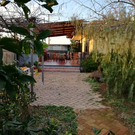 Casa Del Gecko *