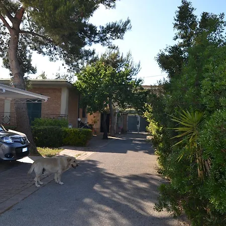 Casa Del Gecko Gasthof Torre del Greco